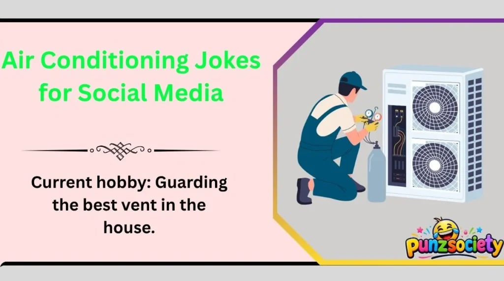 Air Conditioning Jokes for Social Media