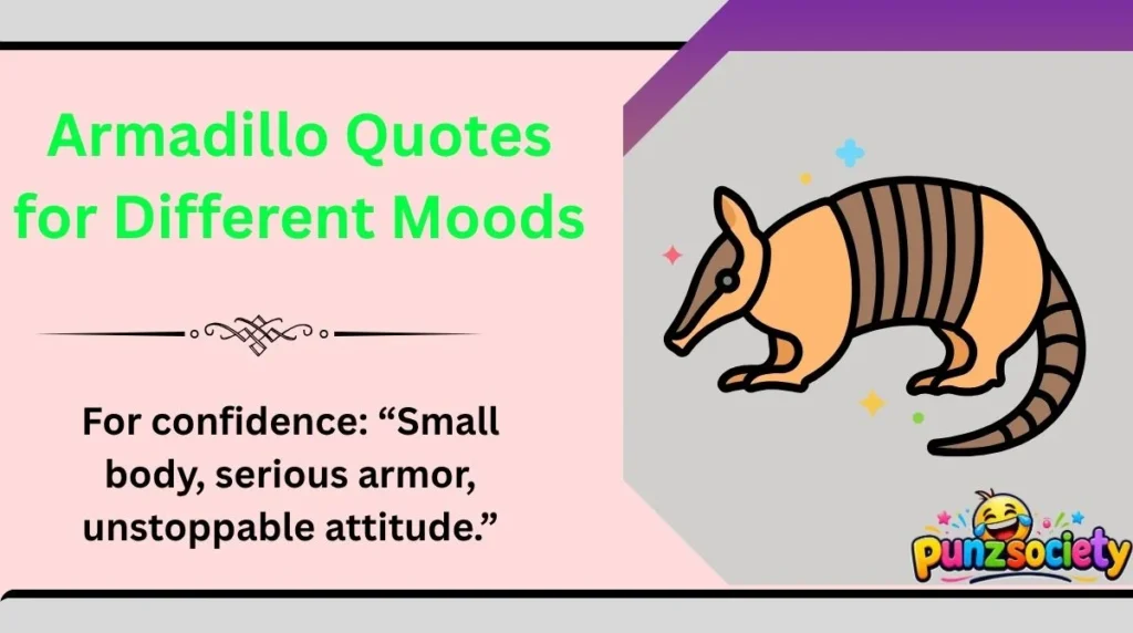Armadillo Quotes for Different Moods