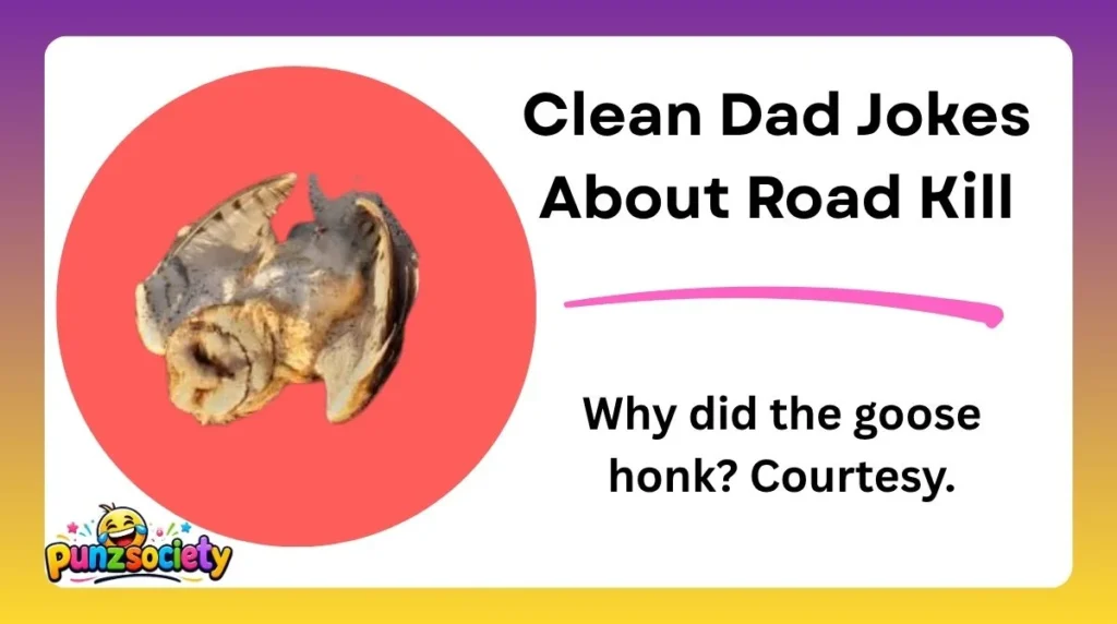 Clean Dad Jokes About Road Kill