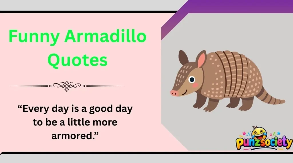 Funny Armadillo Quotes