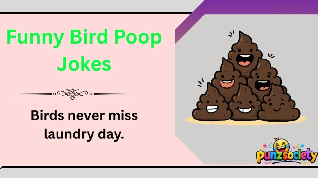 Funny Bird Poop Jokes
