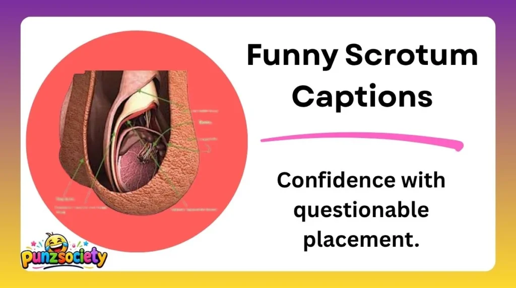 Funny Scrotum Captions