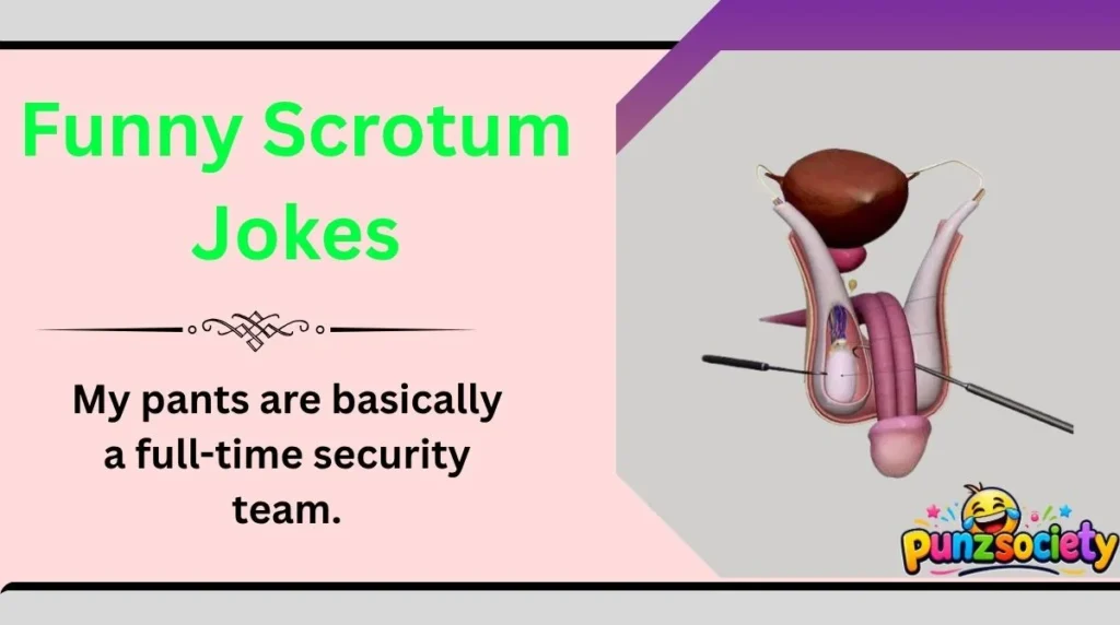 Funny Scrotum Jokes