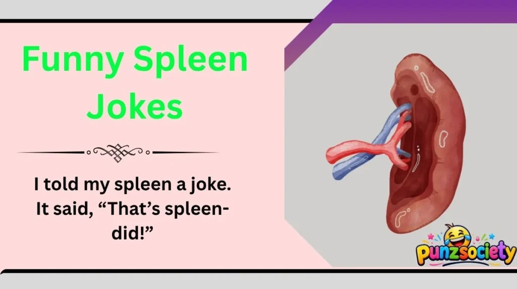 Funny Spleen Jokes