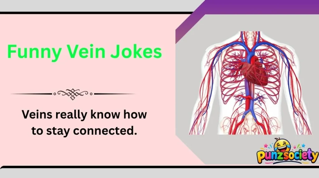 Funny Vein Jokes