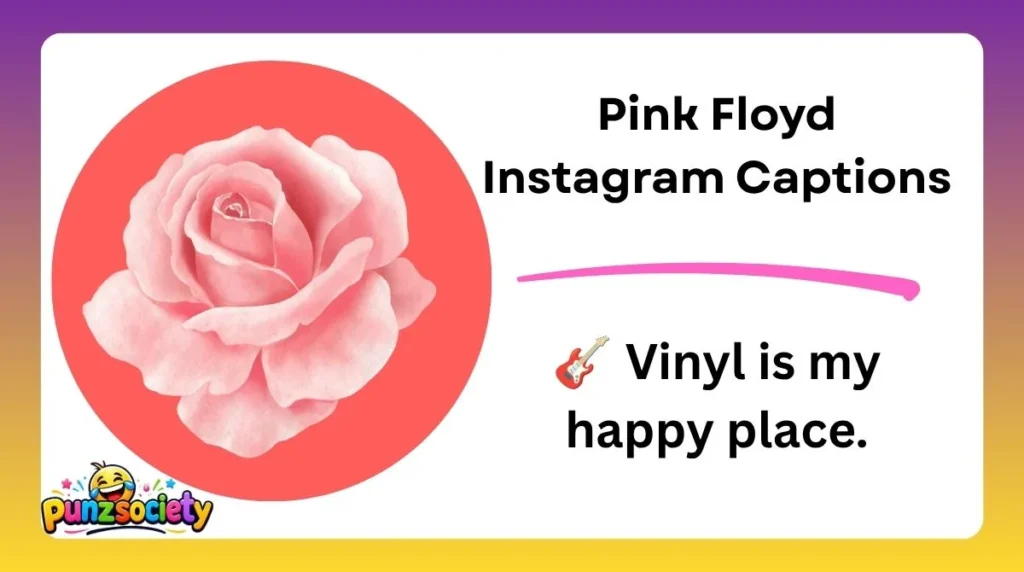 Pink Floyd Instagram Captions