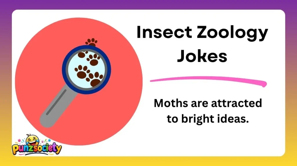Insect Zoology Jokes