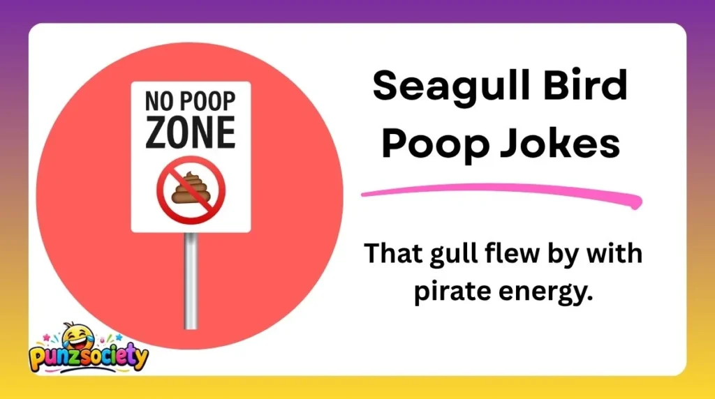 Seagull Bird Poop Jokes