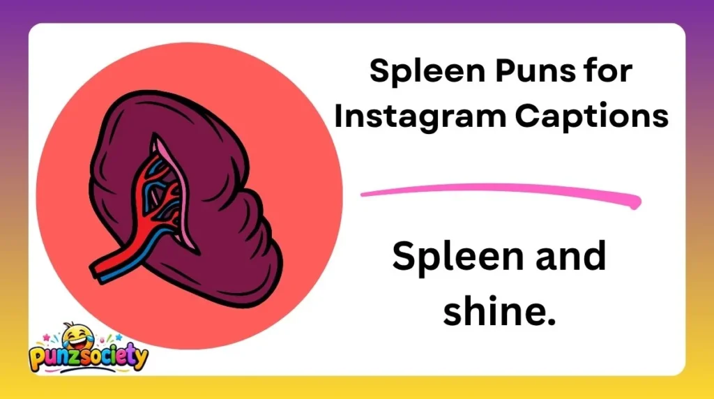 Spleen Puns for Instagram Captions