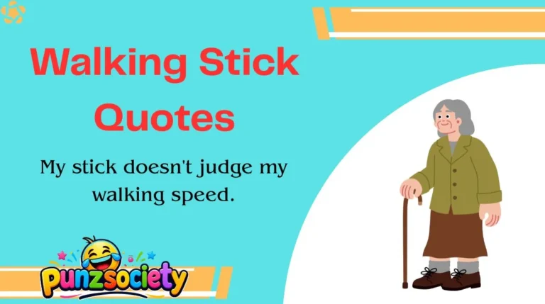 Walking Stick Quotes